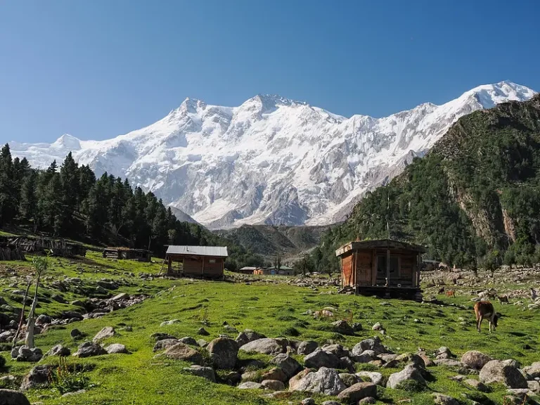 Fairy-Meadows2